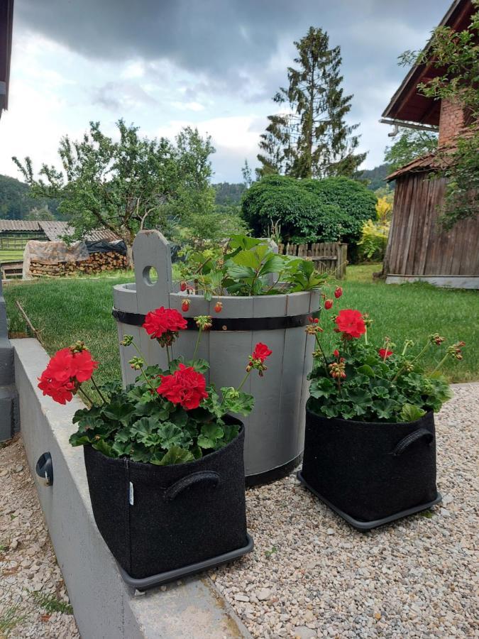 Pr' Sovarjo Zgornje Gorje Exterior foto
